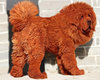 Šis Tibeto mastifas - brangiausias šuo pasaulyje.
