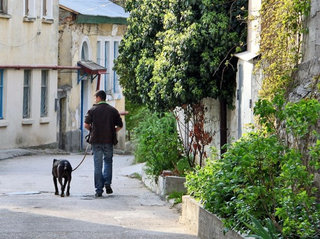 Pasivaikščiojimas su šuniuku naudingas ne tik augintiniui, bet ir šeimininkui.