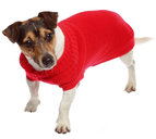 CROCI Siviglia megztinis šuniui