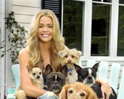 Denise Richards