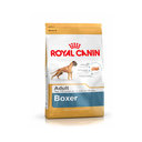 ROYAL CANIN Boxer Adult