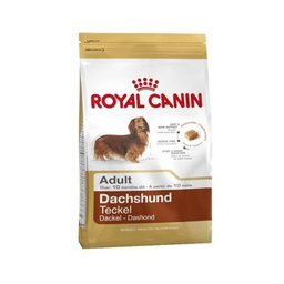 ROYAL CANIN Dachshund Adult