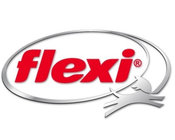 Flexi kompanijos logotipas