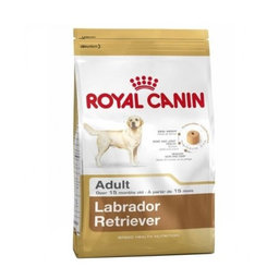 ROYAL CANIN Labrador Retriever Adult