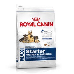 ROYAL CANIN Maxi Starter