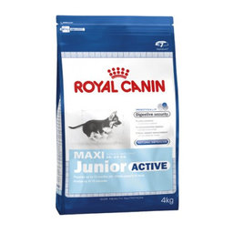ROYAL CANIN Maxi Junior Active