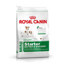 ROYAL CANIN Mini Starter