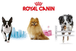 Royal Canin Life linija