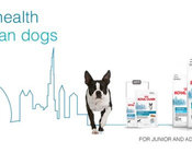 Royal Canin Urban Life